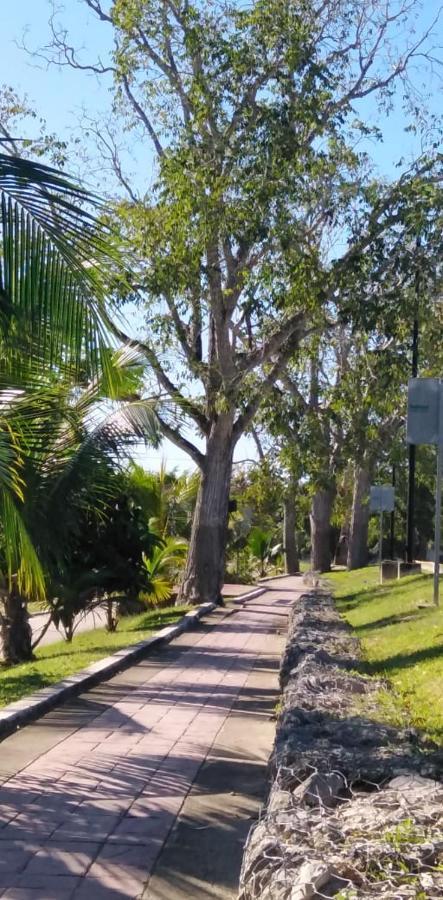 Inn Hotelito Kuyche