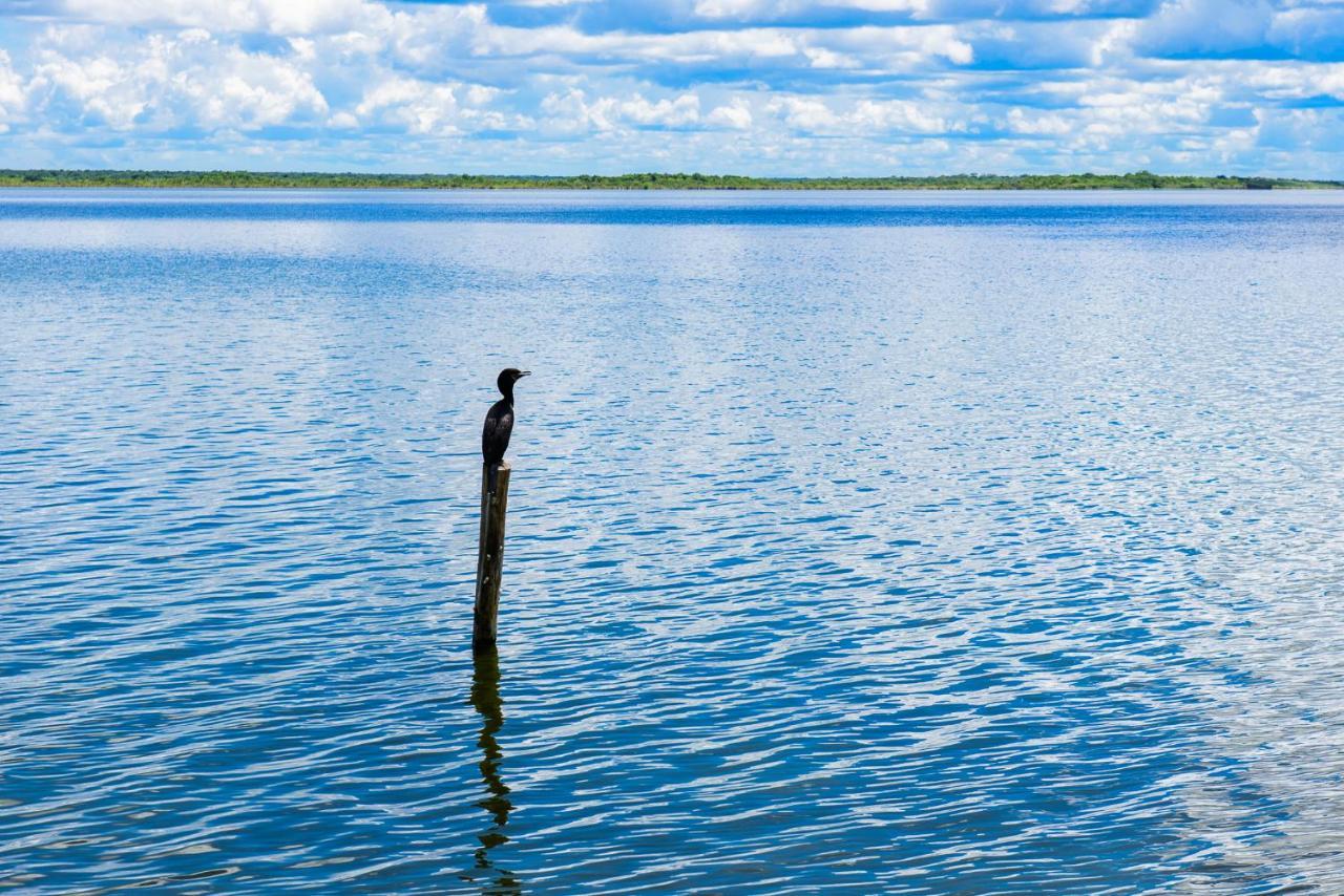 San Fernando Bacalar, Piña Colada *