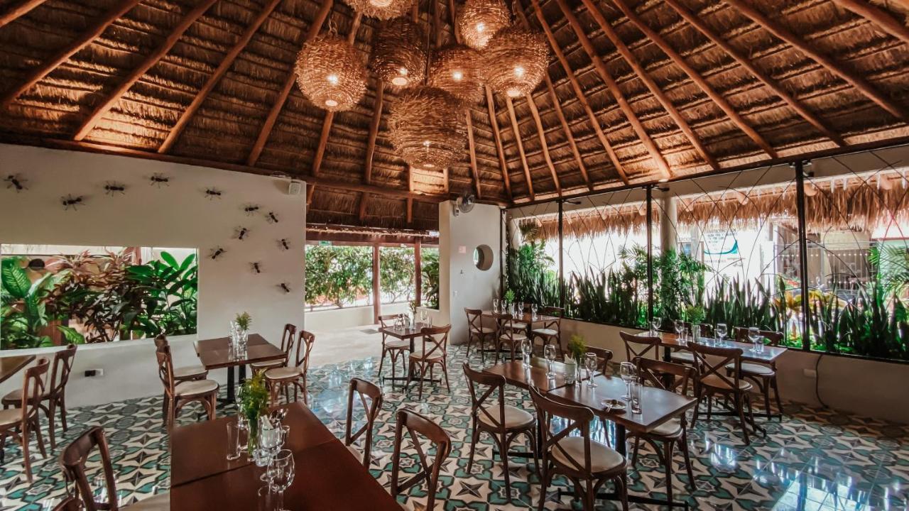 Blue Palm Bacalar