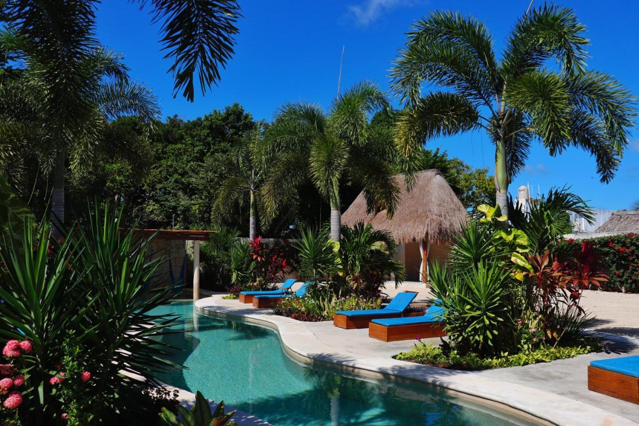 Hotel Blue Palm