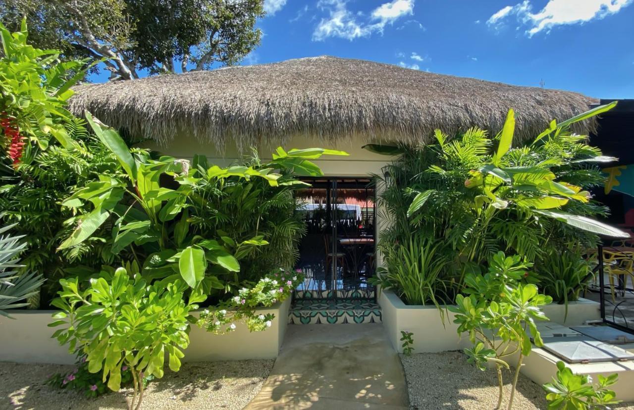 Blue Palm 4* Bacalar