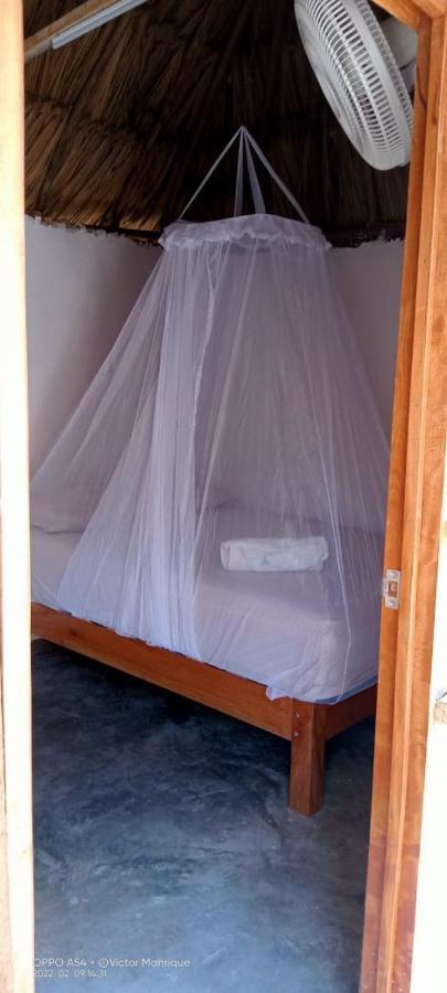 Guest house Alma