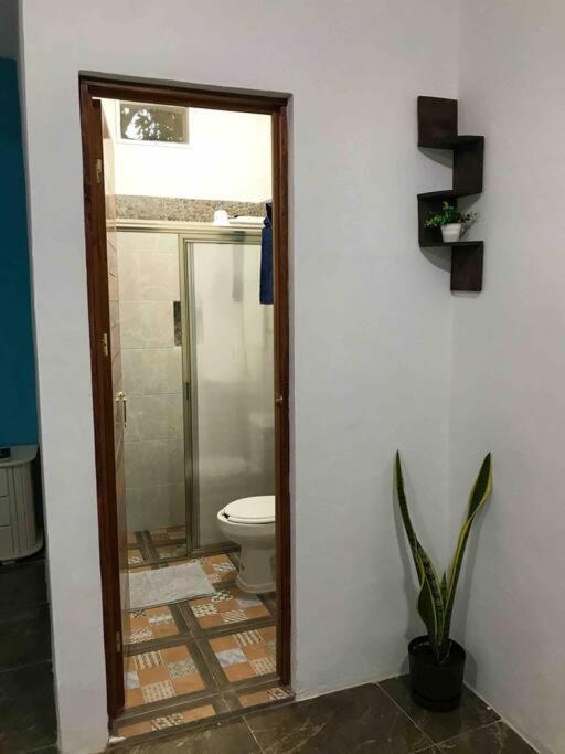Alojamiento Departamental Apartamento Bacalar