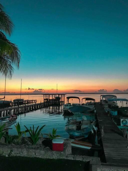 Alojamiento Departamental Apartamento Bacalar