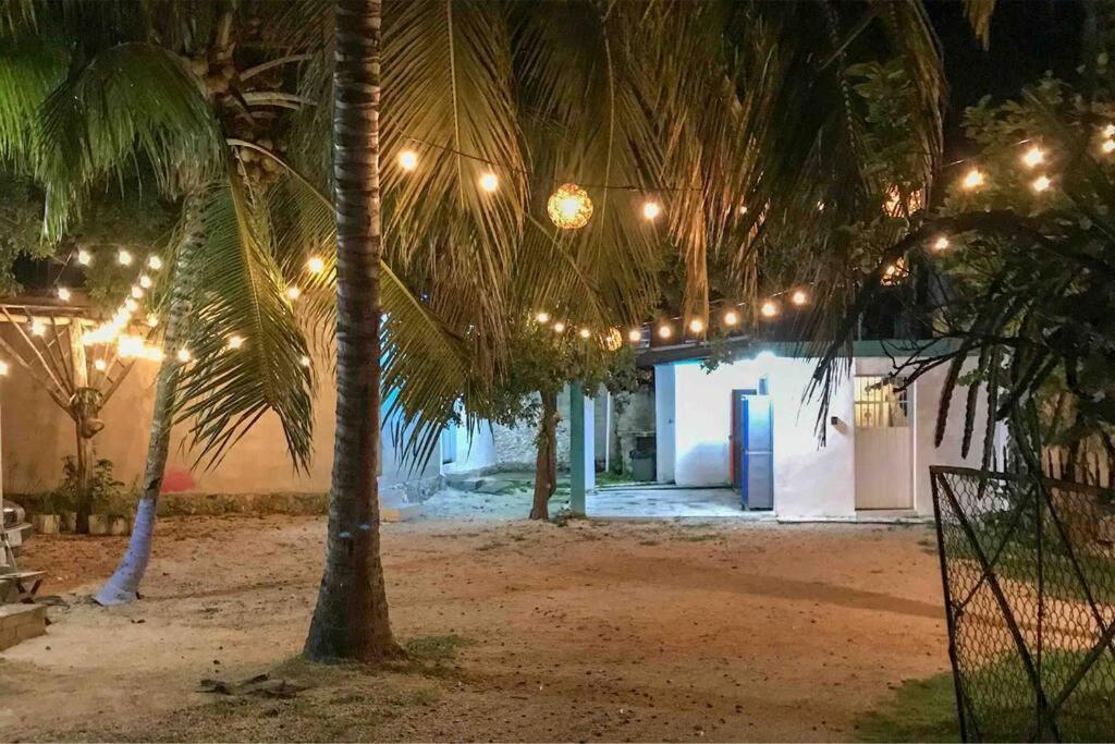 Apartamento Alojamiento Departamental Bacalar