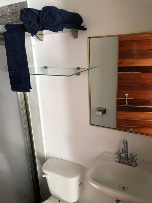 Alojamiento Departamental Apartamento Bacalar
