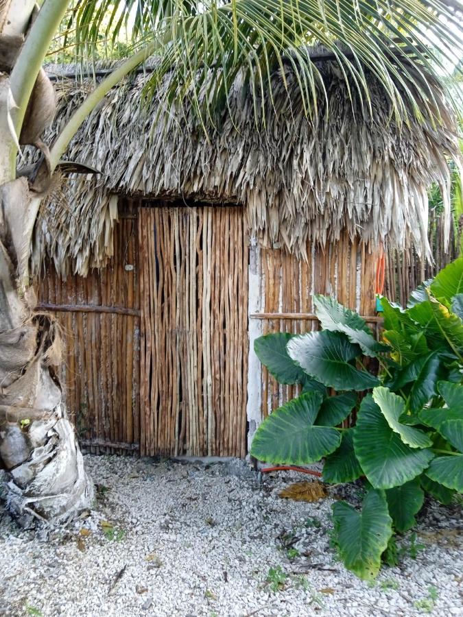 Muelle36 Bacalar