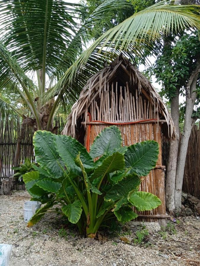 Campsite Muelle36 Bacalar