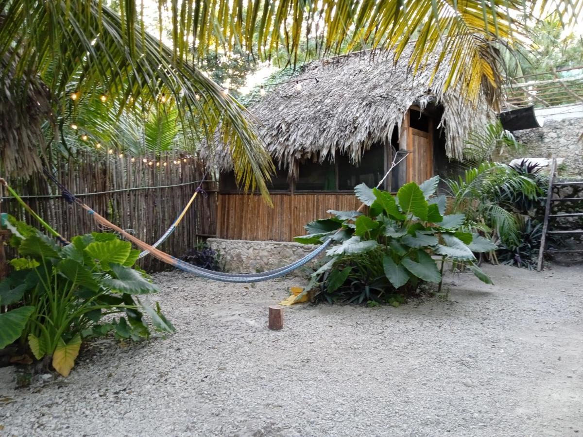 Campsite Muelle36 *