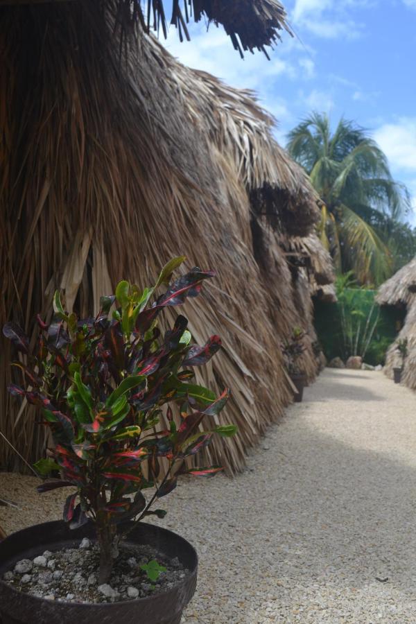 Hakuna Matata Glamping Camping Bacalar