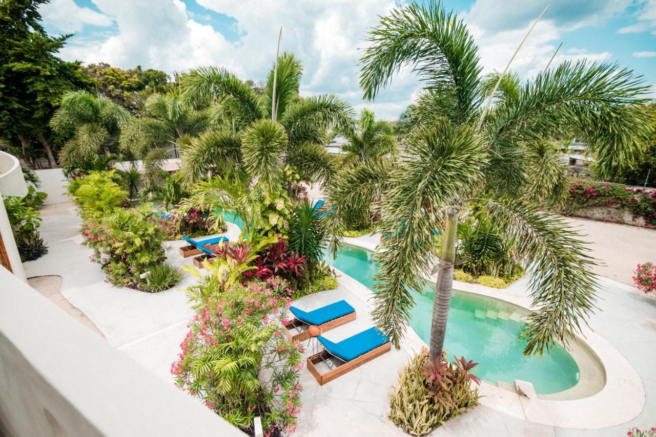 Hotel Blue Palm 4*