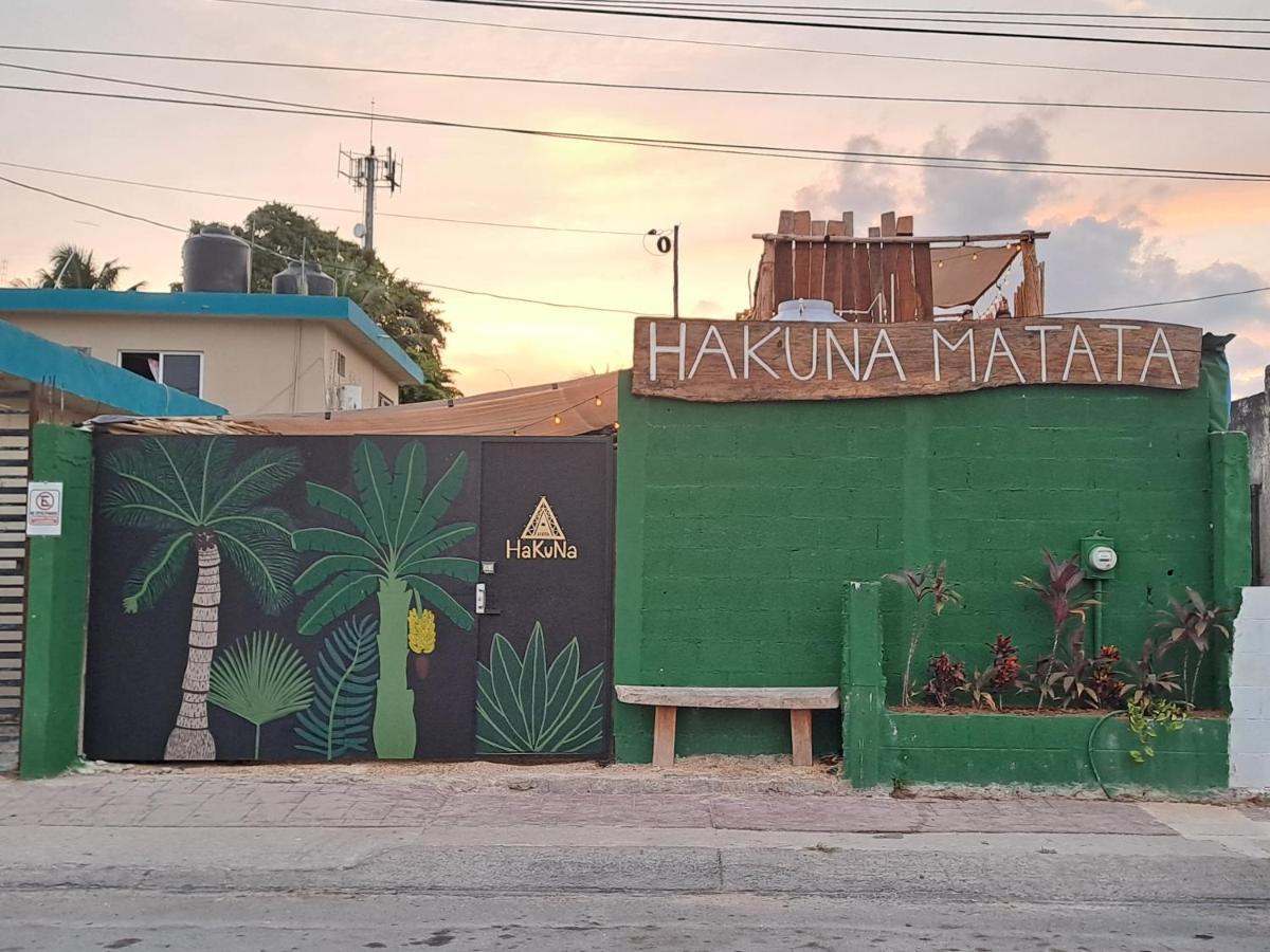 Hakuna Matata Glamping Camping