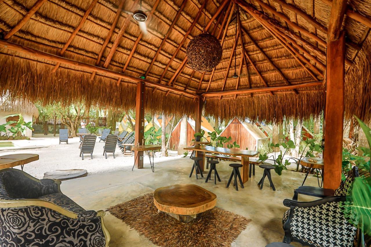 Bufo Alvarius Sanctuary Bacalar Hotel Buenavista (Quintana Roo)