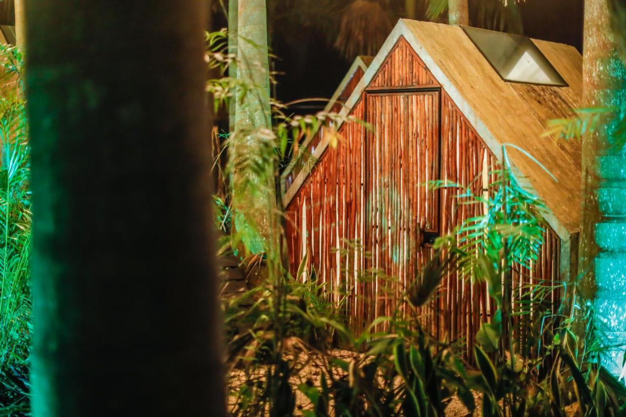 Hotel Bufo Alvarius Sanctuary Bacalar *