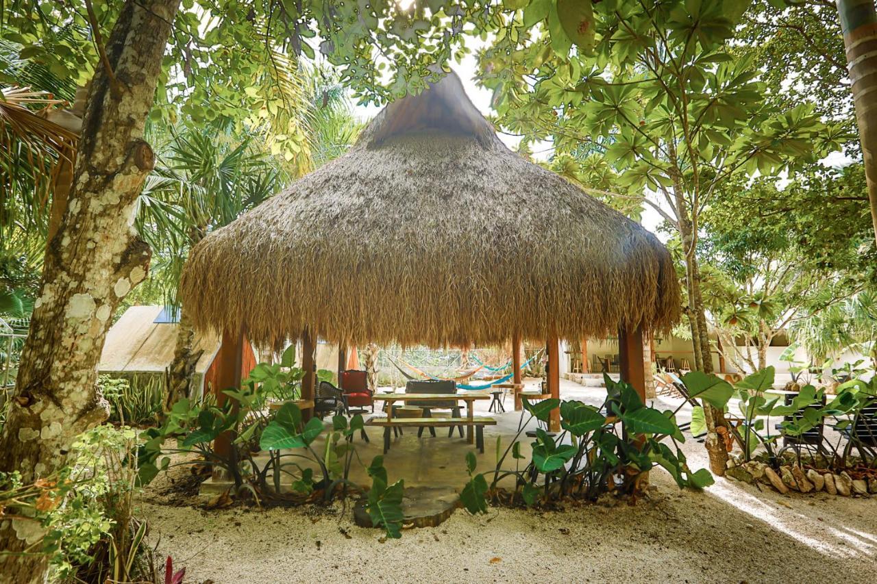 Bufo Alvarius Sanctuary Bacalar Hotel *