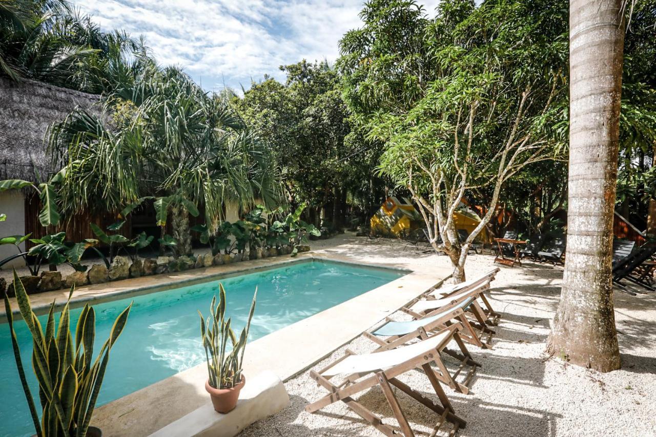 Hotel Bufo Alvarius Sanctuary Bacalar Buenavista (Quintana Roo)