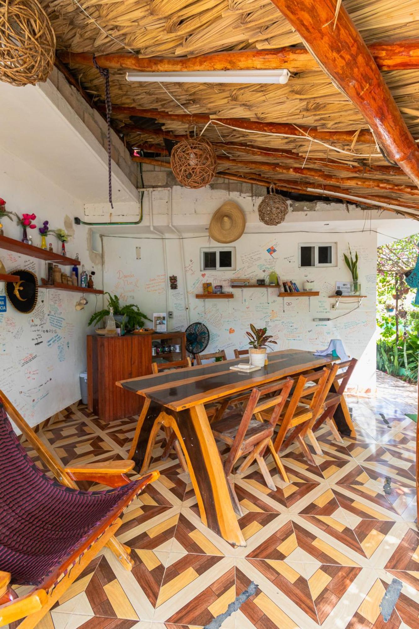 Zayali - * Bacalar