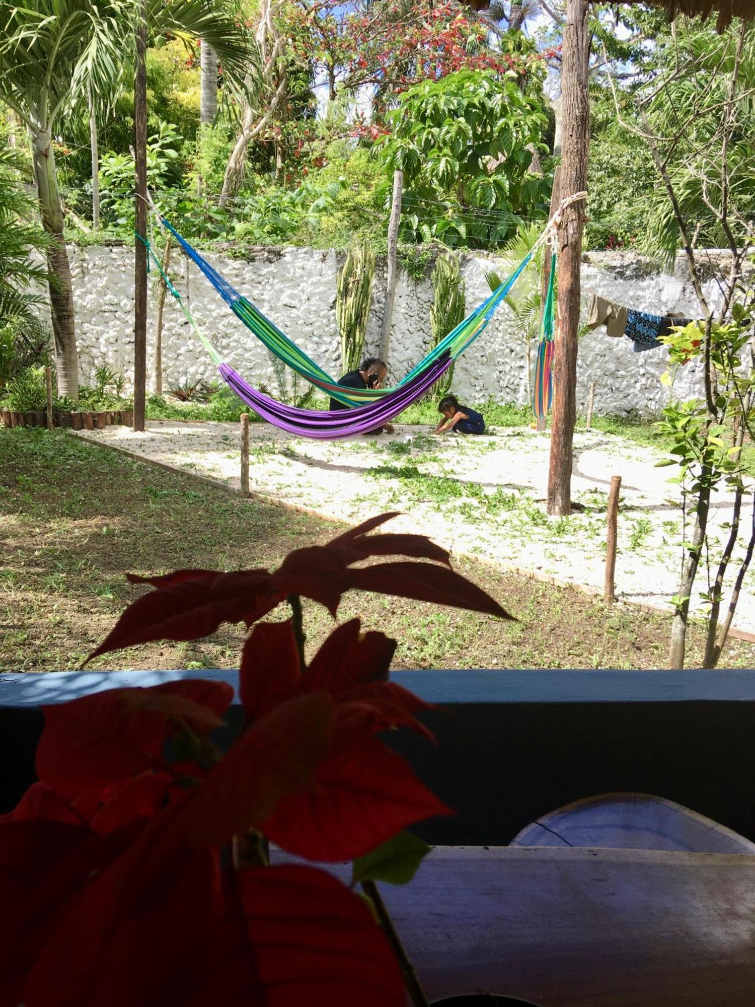 Guest house Casa Bokoba