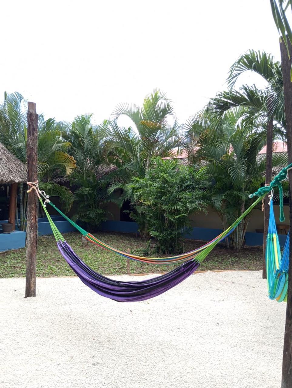 Guest house Casa Bokoba *