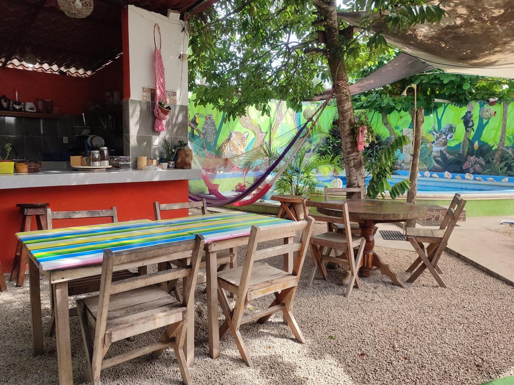 Zayali - Bacalar