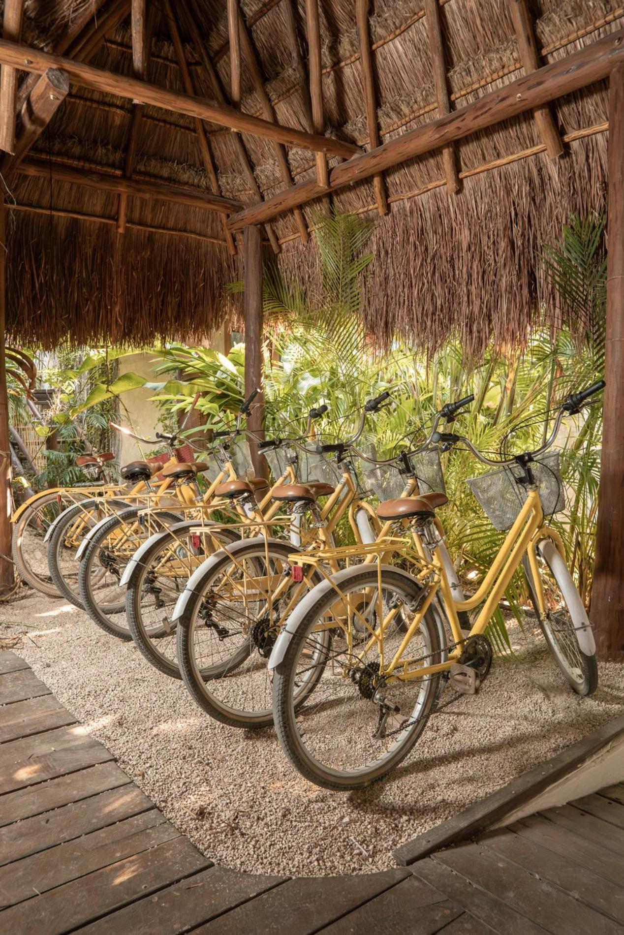 Casa Hormiga Hotel Bacalar