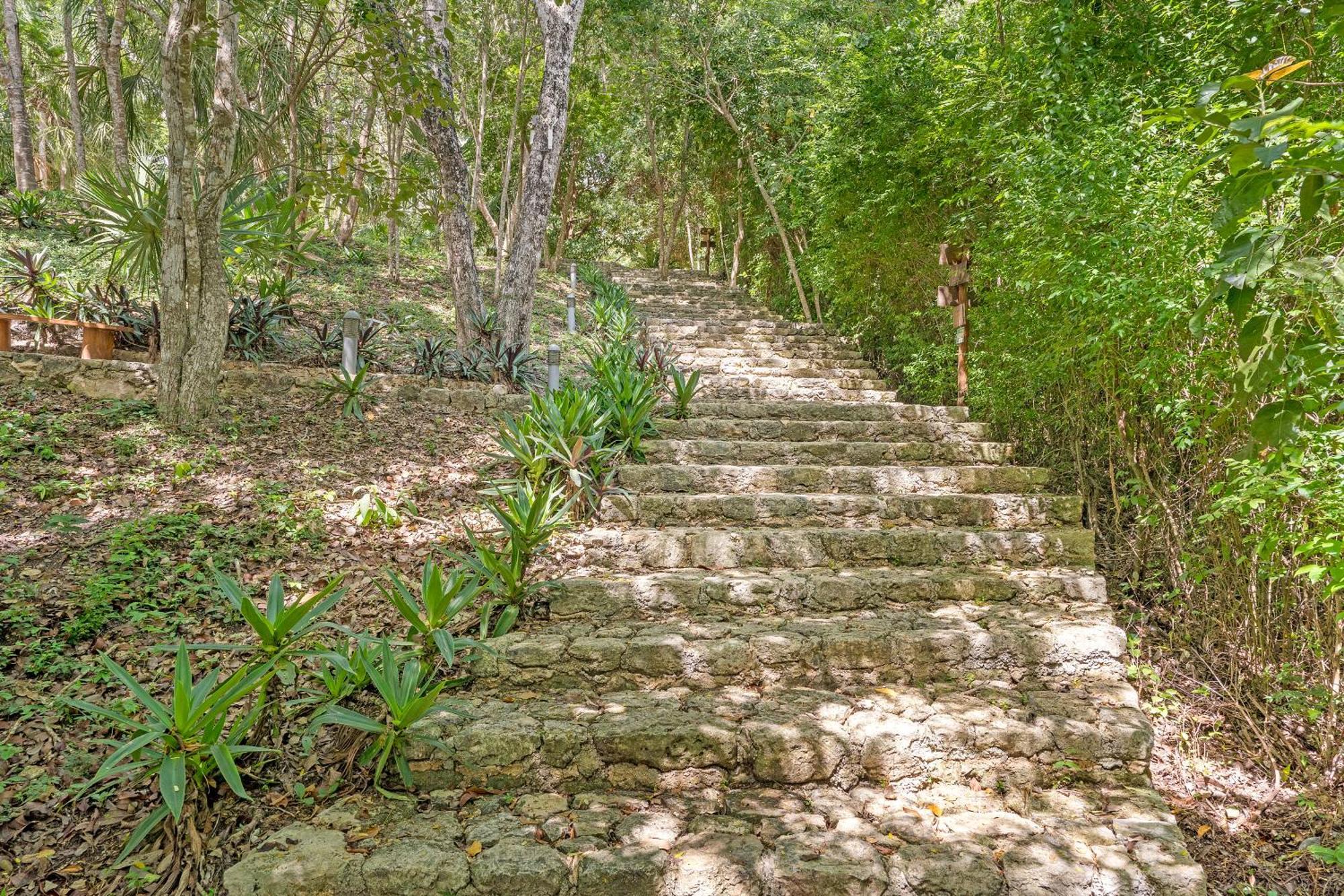 Mbh Maya Boutique Hotel