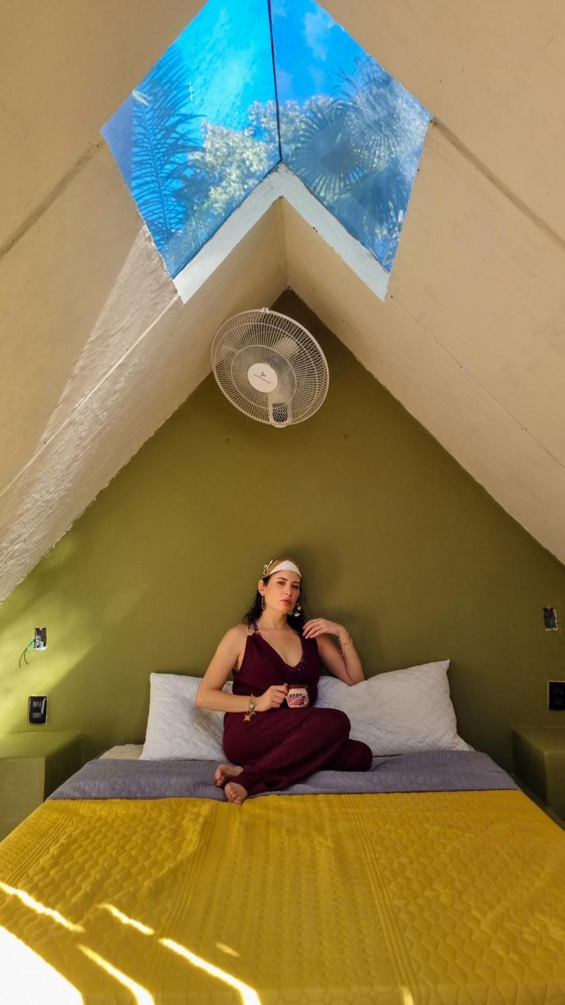 Bufo Alvarius Sanctuary Bacalar Hotel