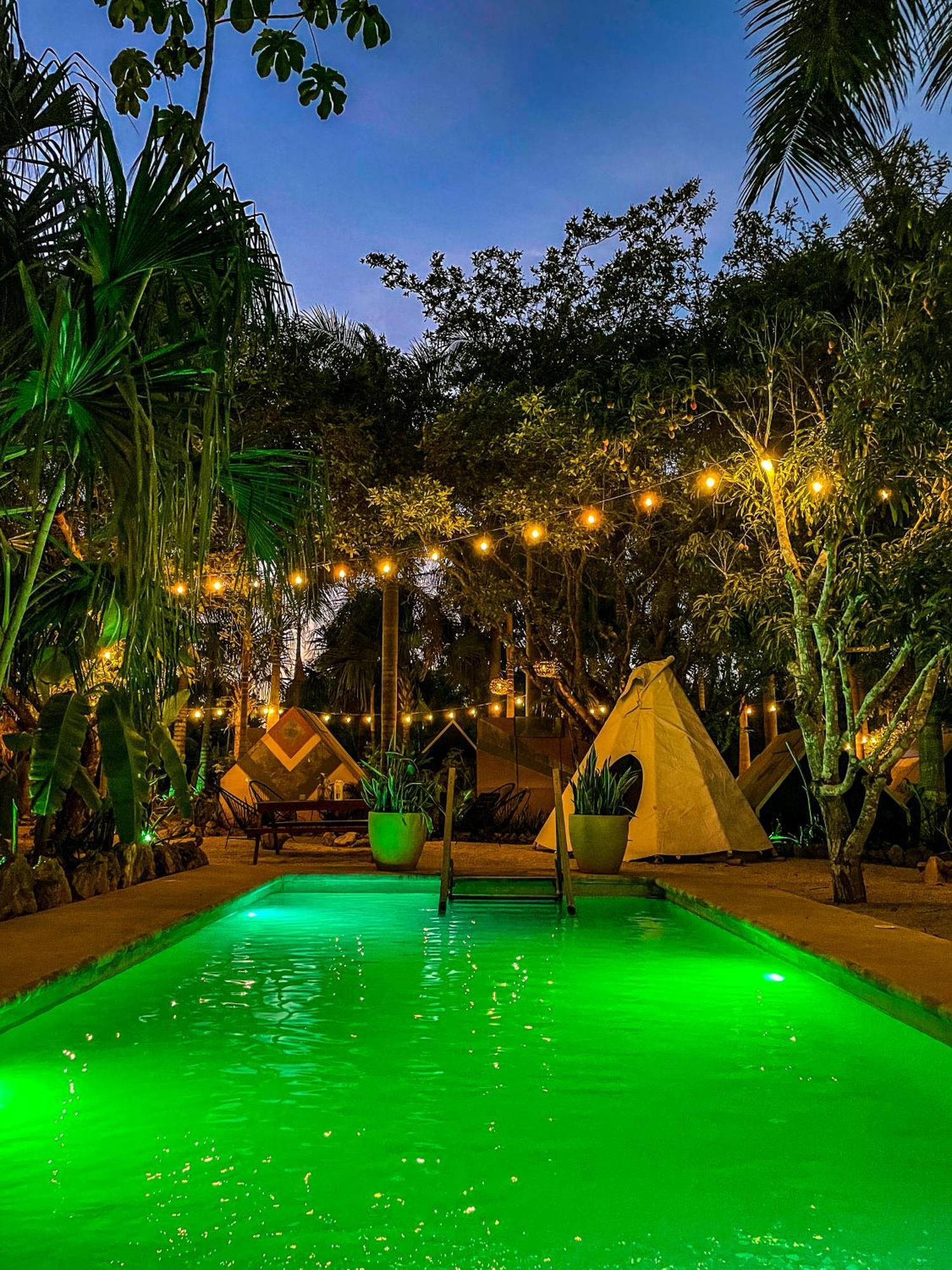 Bufo Alvarius Sanctuary Bacalar Hotel *