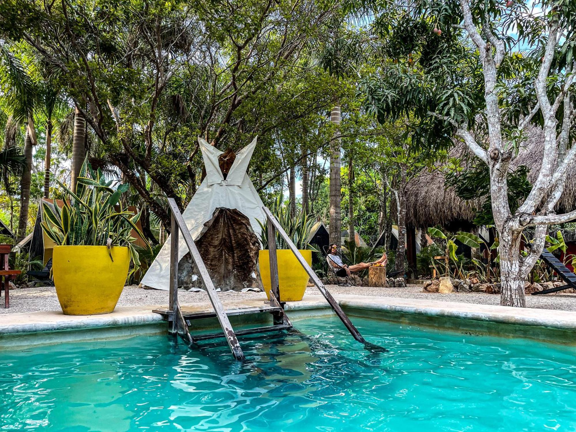 Bufo Alvarius Sanctuary Bacalar Hotel Buenavista (Quintana Roo)