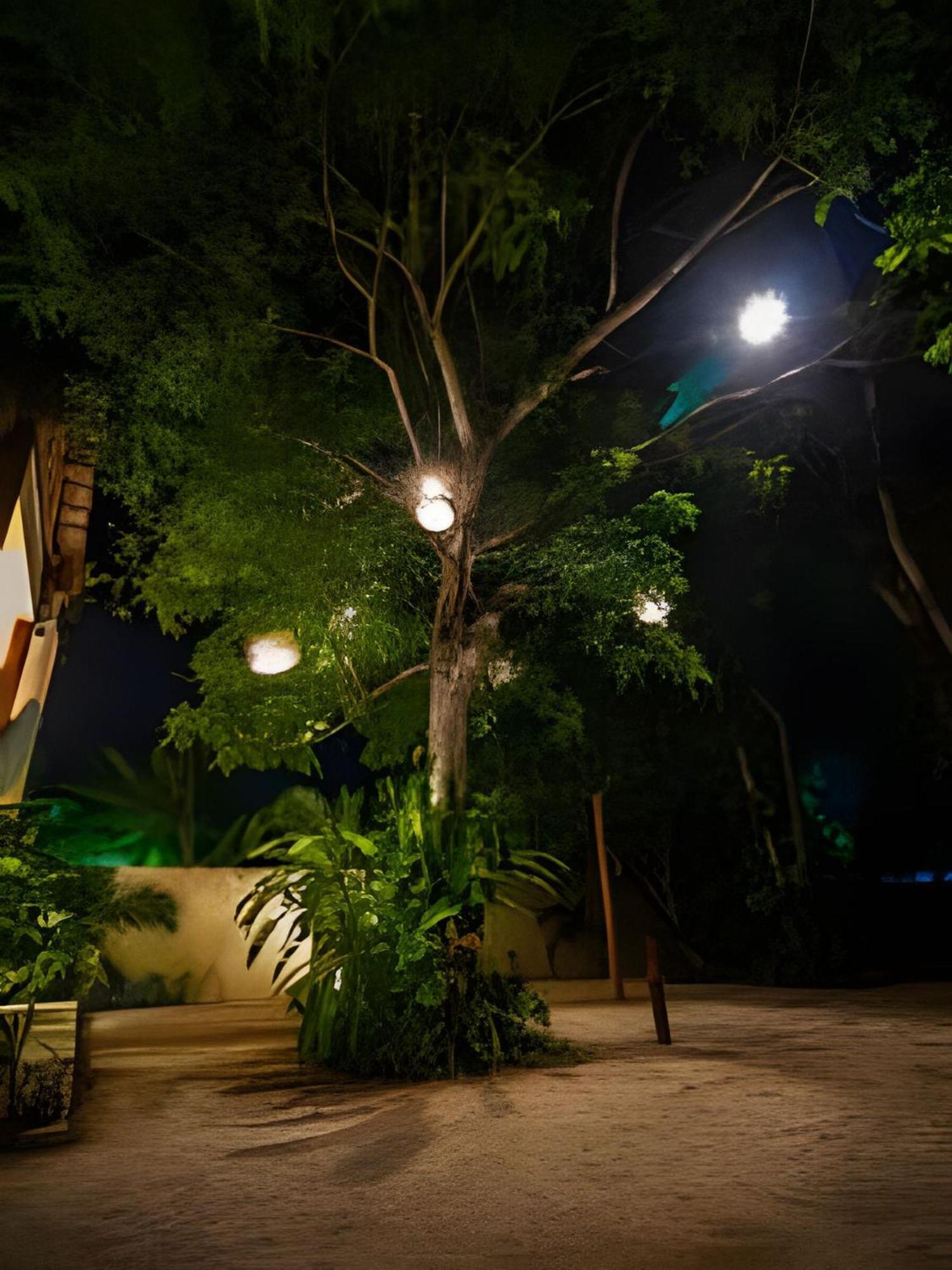 Apartamento Casa De Piedra - Departamentos Bacalar- *