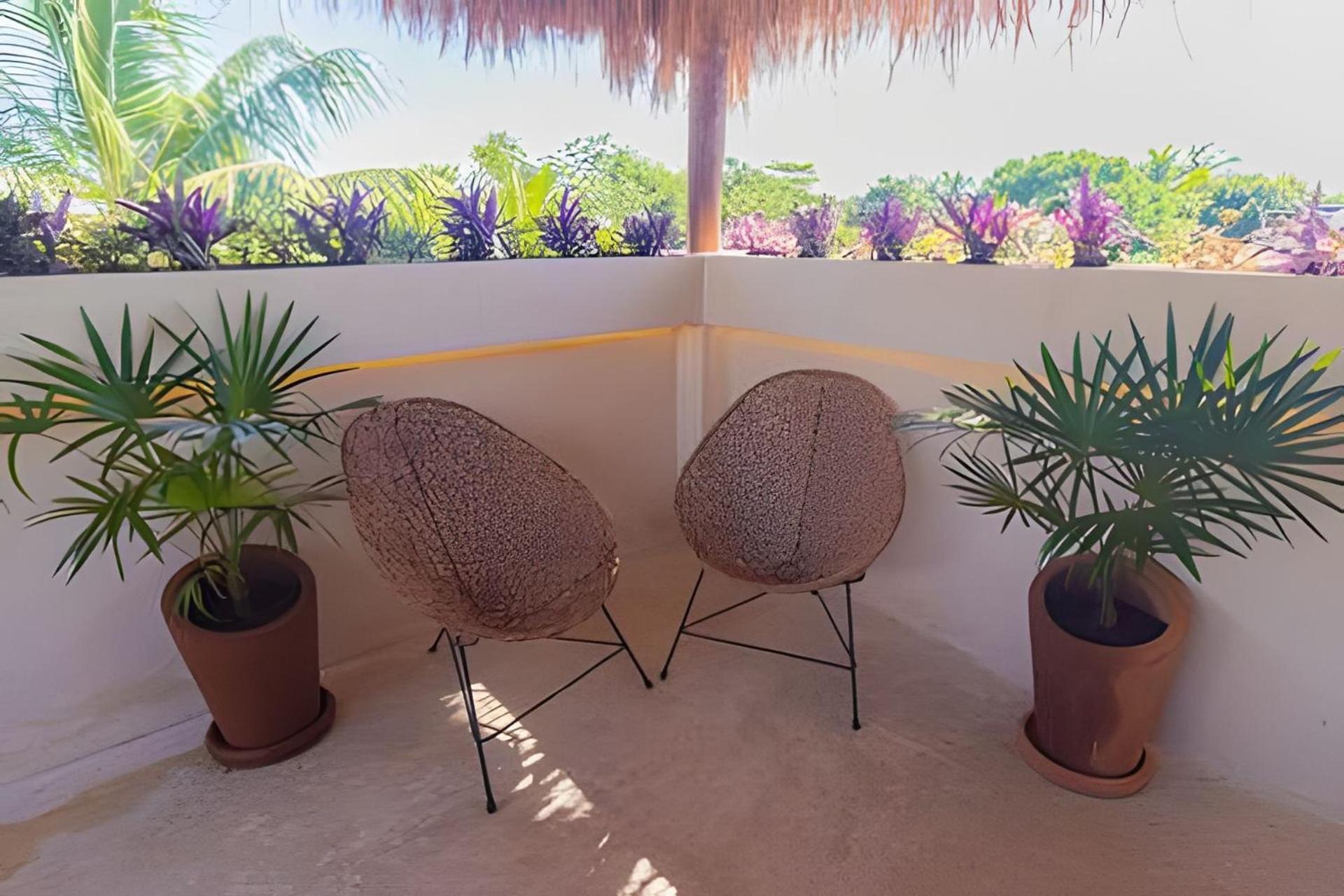 Apartamento Casa De Piedra - Departamentos Bacalar- *