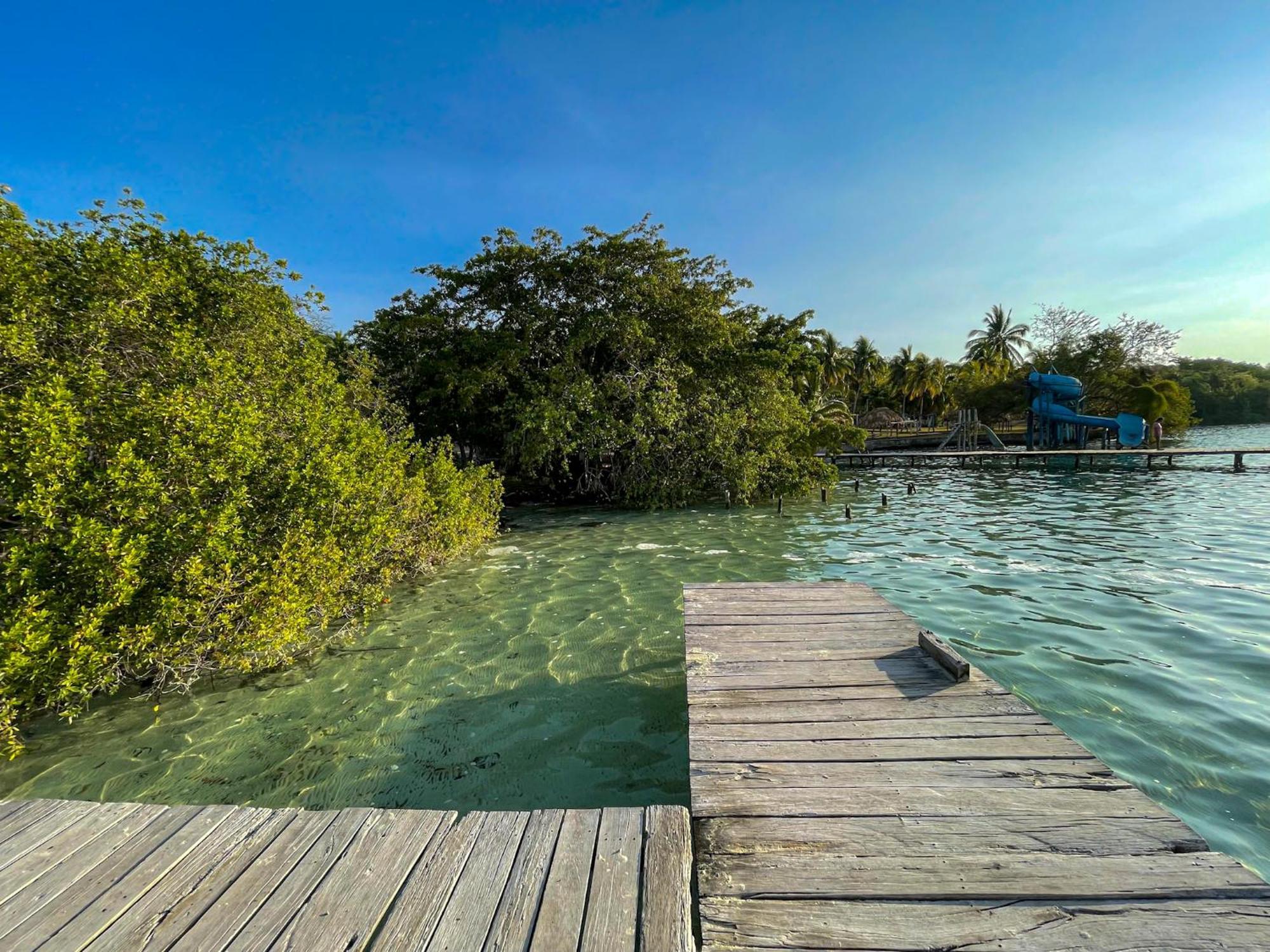 Bufo Alvarius Sanctuary Bacalar
