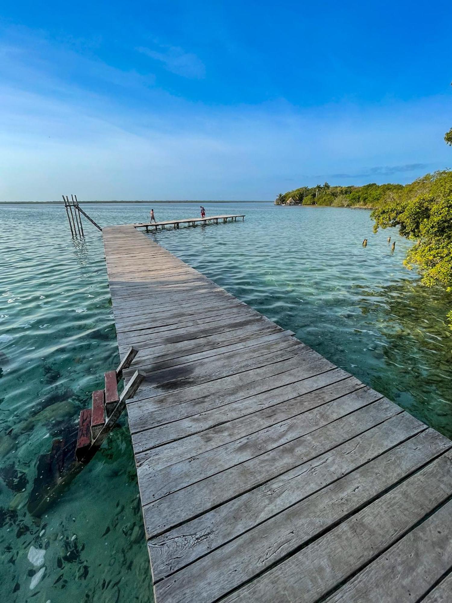 Hotel Bufo Alvarius Sanctuary Bacalar