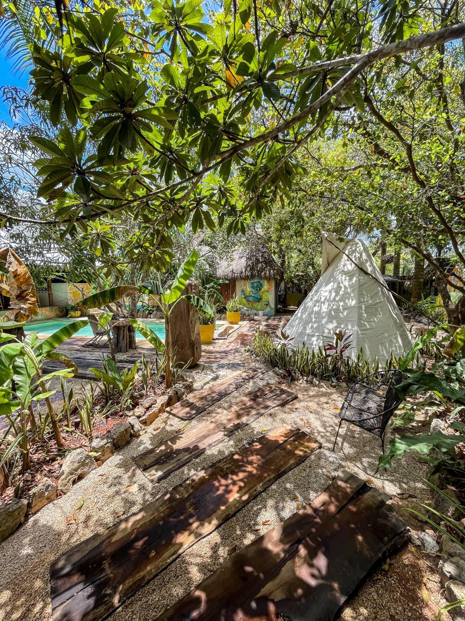 Bufo Alvarius Sanctuary Bacalar Hotel *