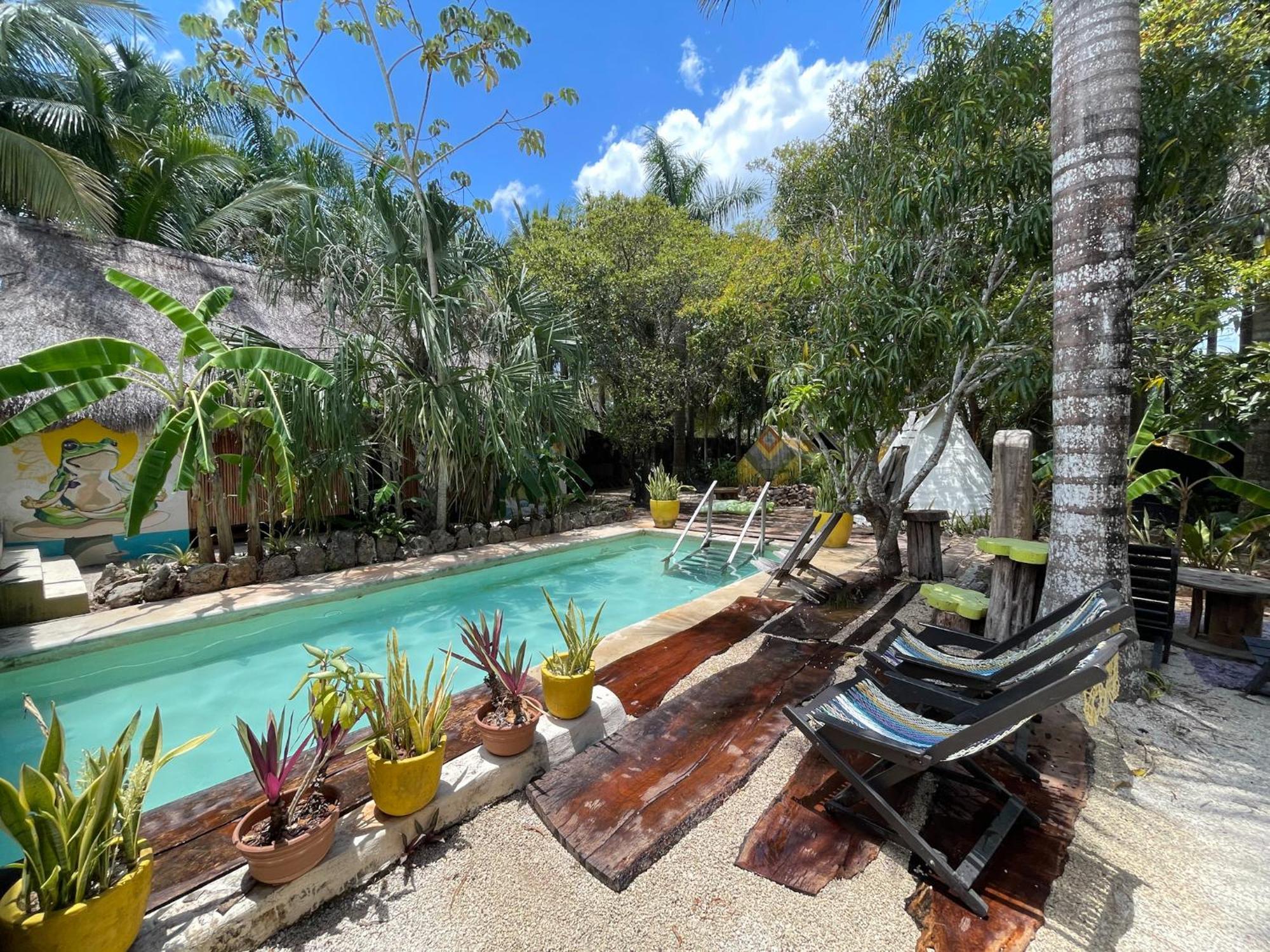 Hotel Bufo Alvarius Sanctuary Bacalar *