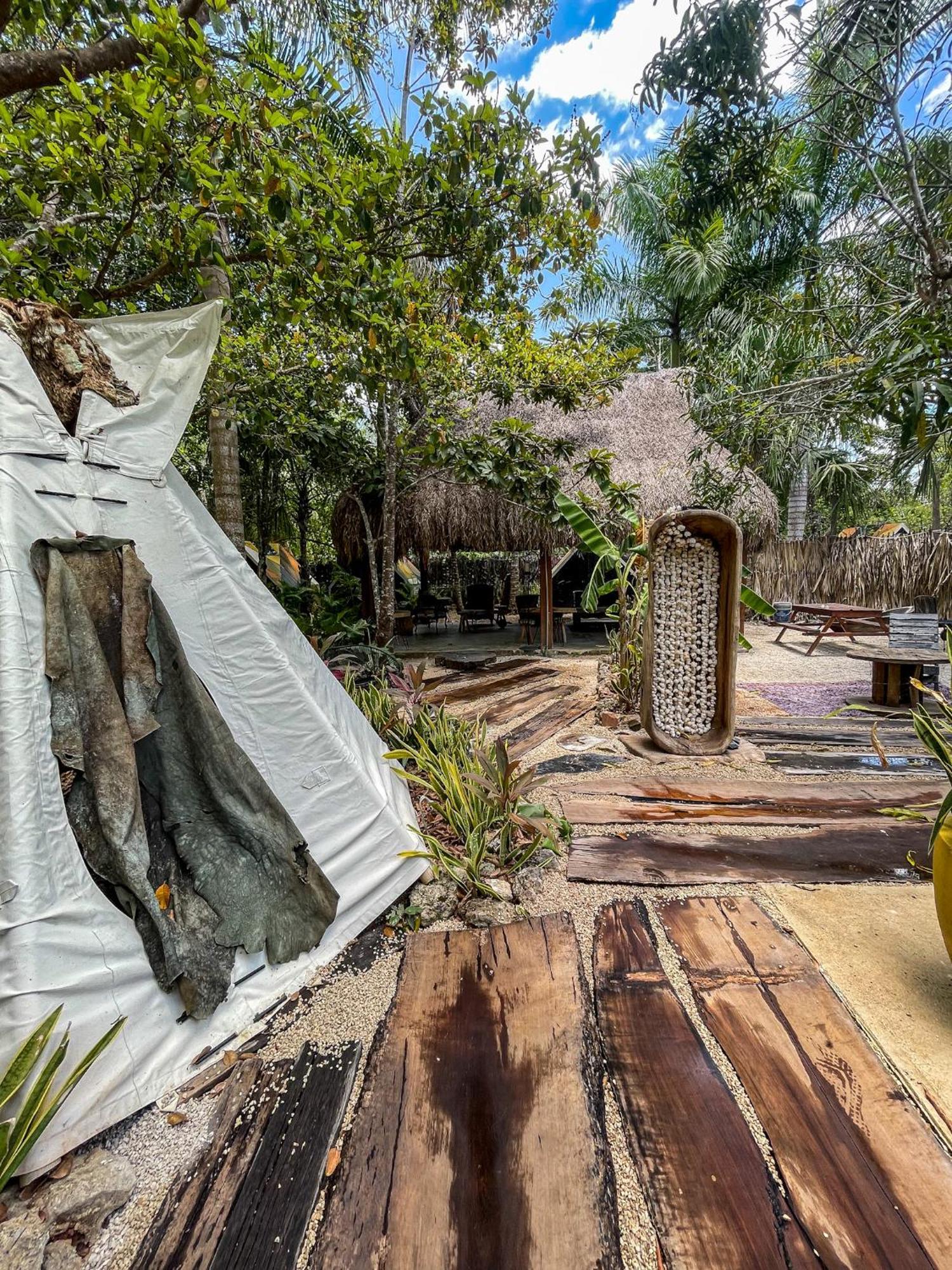 Bufo Alvarius Sanctuary Bacalar * Buenavista (Quintana Roo)