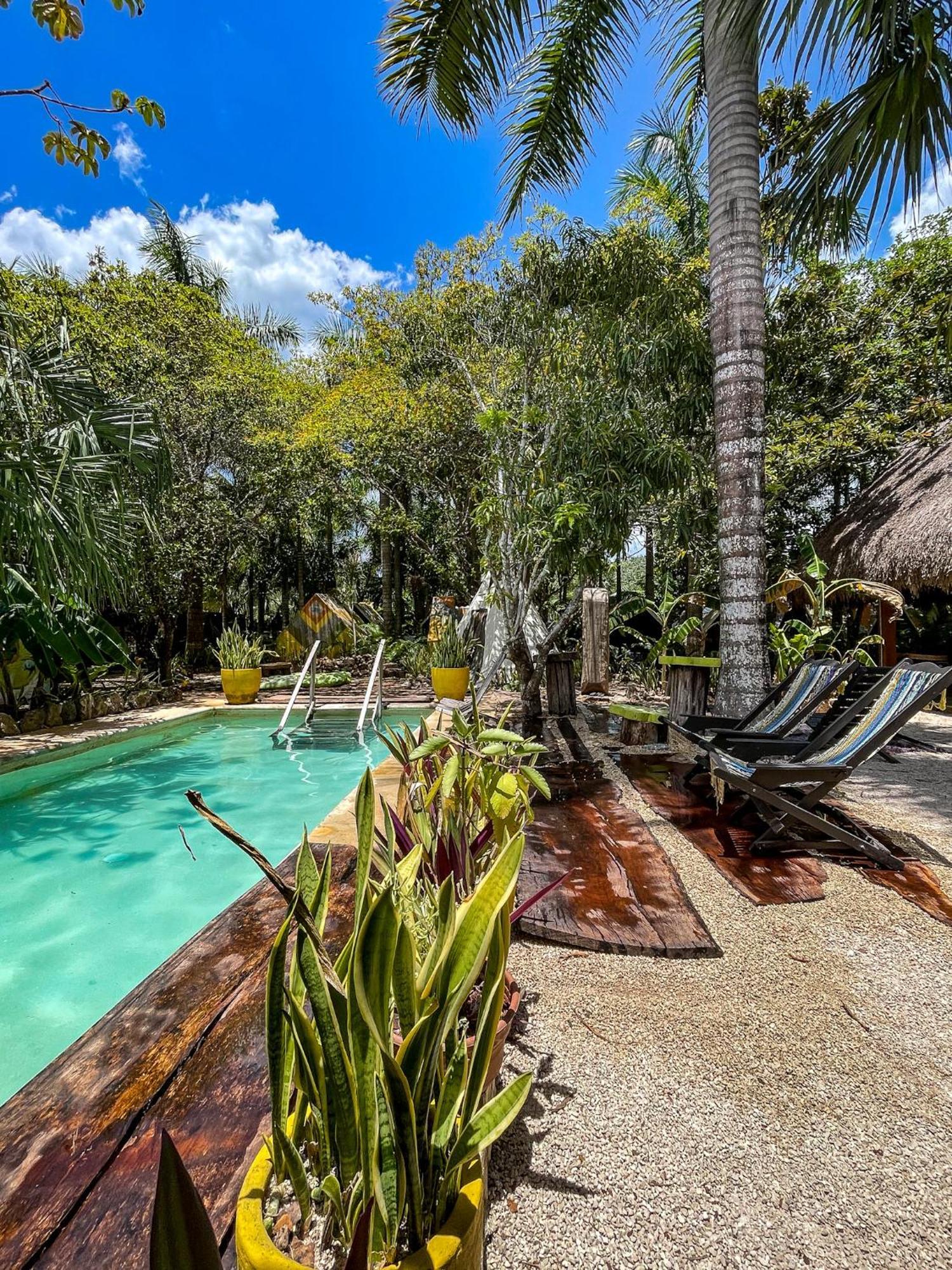 Bufo Alvarius Sanctuary Bacalar Hotel