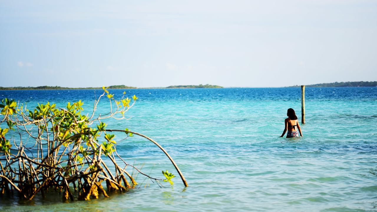 Pier - Bed and breakfast Bacalar