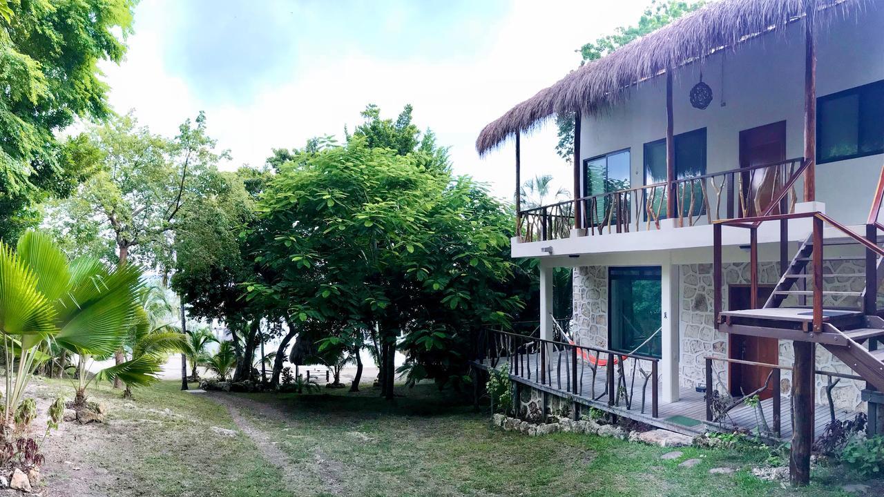 Bed and breakfast Pier - 3*