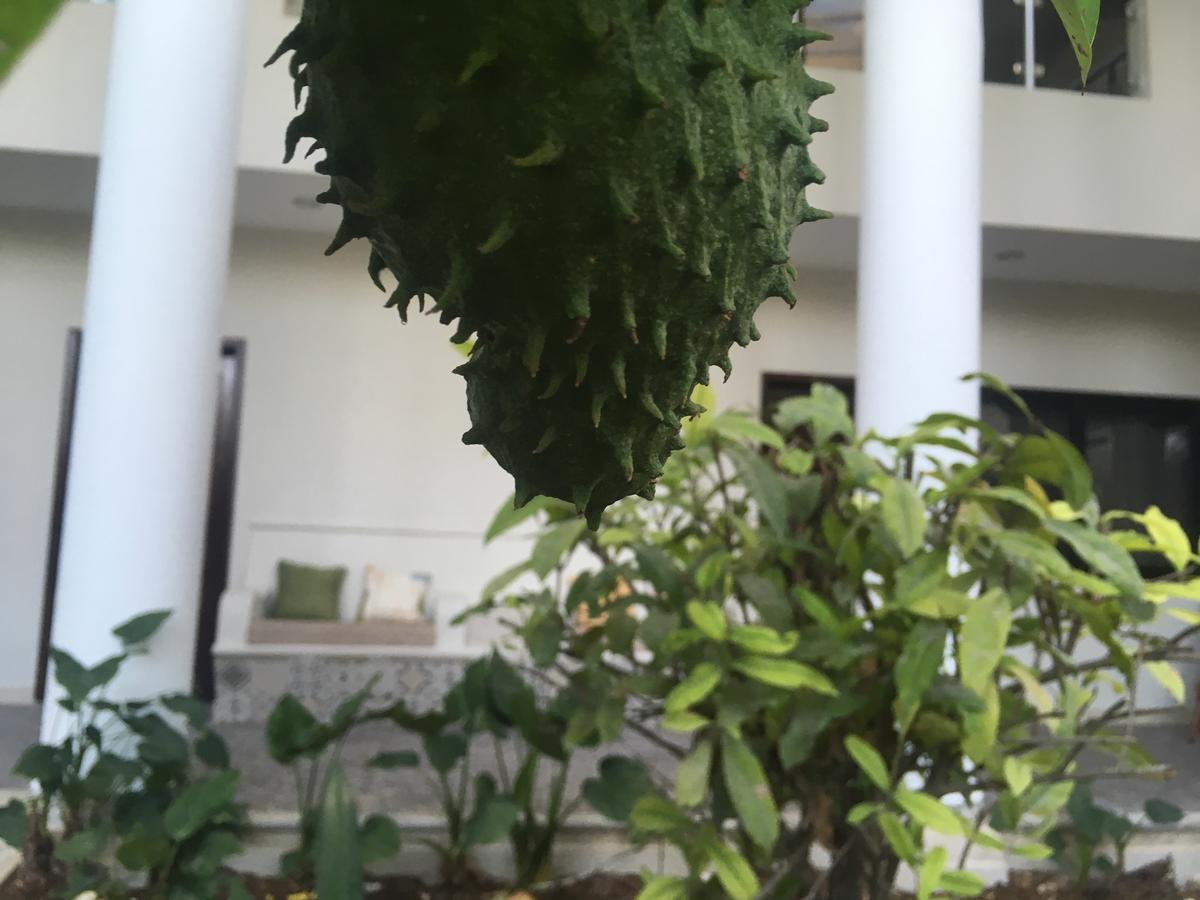 Hotel Tuparenda 2*
