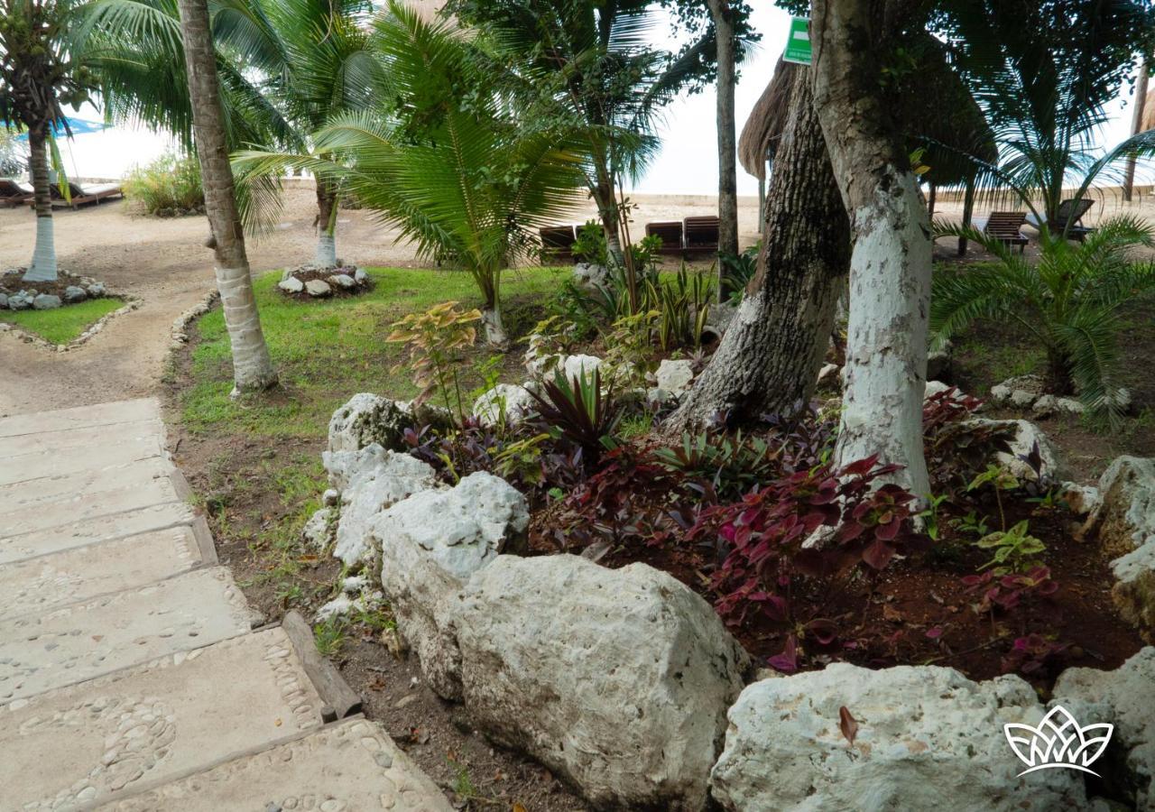 Pier - 3* Bacalar