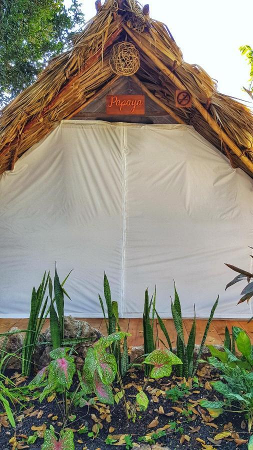 El Buho Eco-cabanas