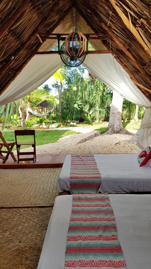 El Buho Eco-cabanas Campsite