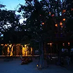 Iguanas Rana Bacalar
