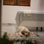 Casa Tao