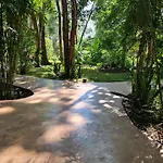 Secret Gardens Bacalar Suite 02 con alberca y bicicletas