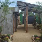 Hakuna Matata Cabana 4
