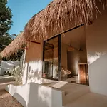 Amarbacalar