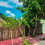 Las Palmas Bacalar