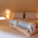 Shamalay - Nomad Experience